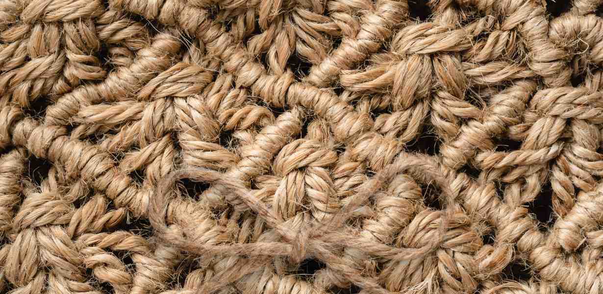 The Journey of Raw Jute: From Harvest to Jute Mill