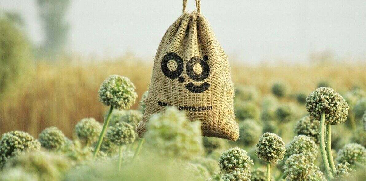 jute bag in crop field